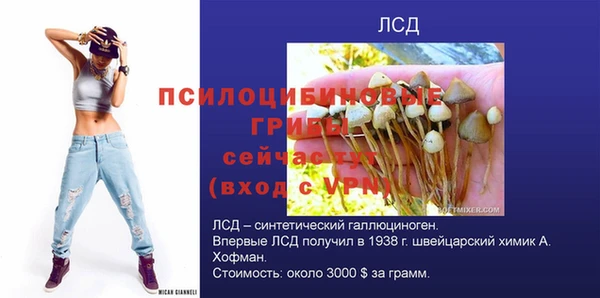 мяу мяу мука Аркадак