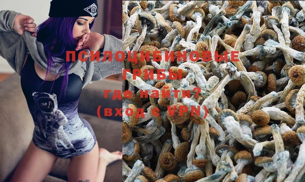 мяу мяу мука Аркадак
