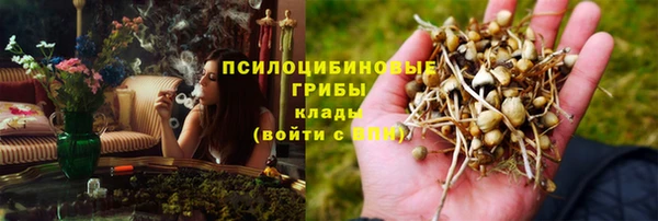 мяу мяу мука Аркадак