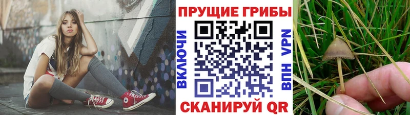 хочу МЕГА маркетплейс Галлюциногенные грибы MAGIC MUSHROOMS Сатка